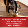 plus Classic Ground Vibrant Maturity Adult 7 plus Turkey and Barley Entree Senior Dog Food - (Pack of 12) 13 Oz. Cans