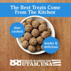 Chicken Meatballs Dog Treats, 10 Ounce