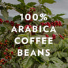 Café Special Decaf Ground Coffee, Medium Dark Roast, 32 Ounce Bag (Pack of 1)