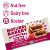 Raspberry Fig Bar, 6 Count, 2 Ounce