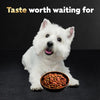 Small Breed Dry Dog Food Rotisserie Chicken Flavor and Spring Vegetables Garnish, 2.7 Lb. Bag
