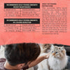Natural Grain Free Dry Cat Food Simply Indoor Salmon, Egg and Sweet Potato Recipe - 3 Lb. Bag
