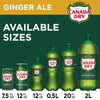 Ginger Ale Soda, 12 Fl Oz Cans, 12 Pack