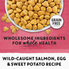 Natural Grain Free Dry Cat Food Simply Indoor Salmon, Egg and Sweet Potato Recipe - 3 Lb. Bag