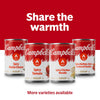 Campbell’S Condensed Spicy Chicken Noodle Soup, 10.5 Oz Can