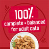 Purina  Prime Filets with Beef in Wet Cat Food Gravy - (Pack of 24) 5.5 Oz. Cans