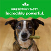 Original Regular Dental Dog Treats, 36 Oz. Pack (36 Treats)