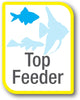 Betta Small Pellets 1.02 Ounce, Complete Nutrition plus Color Boost