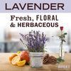 Liquid Dish Soap, Lavender Scent, 16 Ounce Bottle