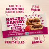 Raspberry Fig Bar, 6 Count, 2 Ounce