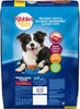 Savory Bacon & Steak Flavor Dry Dog Food, 16 Lb. Bag