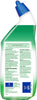Toilet Bowl Cleaner Gel, for Cleaning and Disinfecting, Stain Removal, Forest Rain Scent, 24Oz