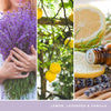 Lemon Lavender Scented Classic 22Oz Large Jar Single Wick Candle over 110 Hours of Burn Time Ideal for Gifting Events and Home Fragrance