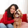 Limited Edition Valentine'S Sweetheart Snacks Mini’S Dog Treats, 25 Ounce (Pack of 1)