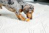 Chew ‘N Clean Chew Toy and Treat in One Chicken Flavored Tri-Point Dog Toy, Small