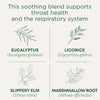 Tea, Organic Throat Coat Eucalyptus, Throat and Respiratory Support, 16 Tea Bags