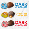 Easter Assorted Chocolate Candy Springtime Mix, 22.6 Oz
