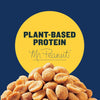 Sweet and Spicy Peanuts, Plant-Based Protein, Sweet & Spicy Party Snacks, Peanut Snack, 16 Oz Jar (Pack of 1)