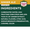 Ginger Ale Soda, 12 Fl Oz Cans, 12 Pack