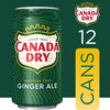 Ginger Ale Soda, 12 Fl Oz Cans, 12 Pack