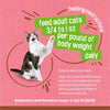 Purina  Wet Cat Food Extra Gravy Pate with Salmon in Savory Gravy - (Pack of 24) 5.5 Oz. Cans