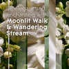 Candle Jar, Air Freshener, 2In1, Moonlit Walk & Wandering Stream, 3.4 Oz, 2 Count